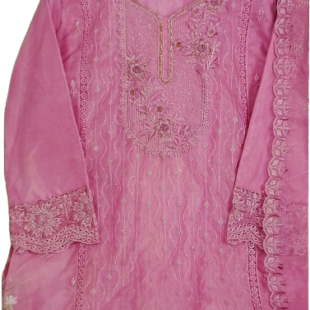 Pakistani suits for women pure organza with khatli work