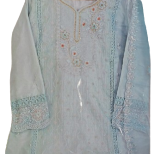 Pakistani suits for women pure organza with khatli work